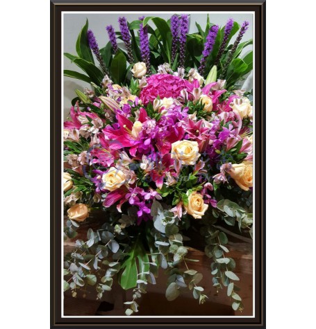 CBF-026